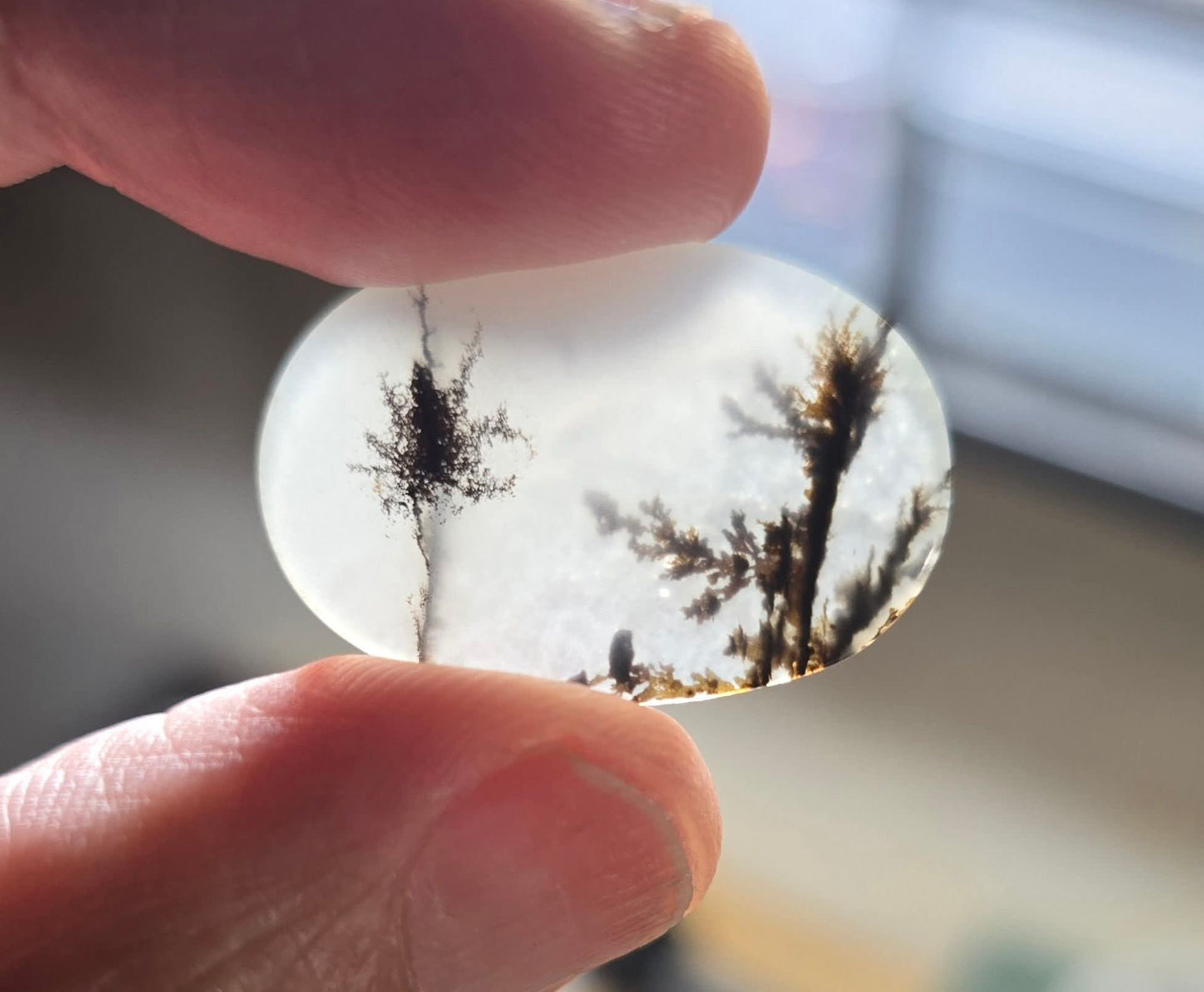 #1 Dendritic Quartz