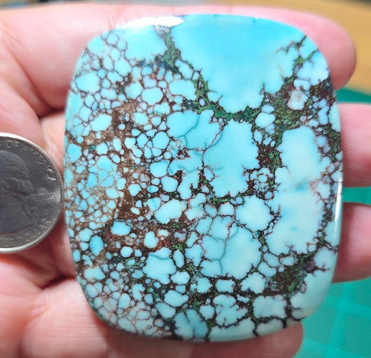 EXTRA HUGE! Turquoise Magnesite