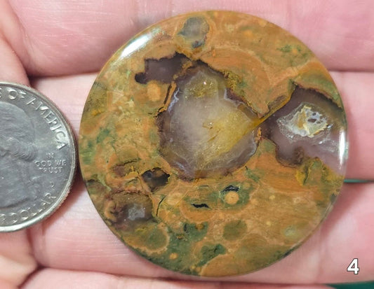 #4 Rainforest Jasper