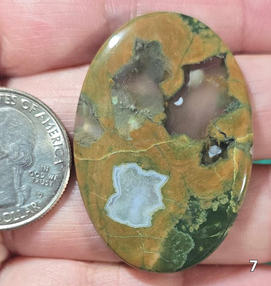 #7 Rainforest Jasper