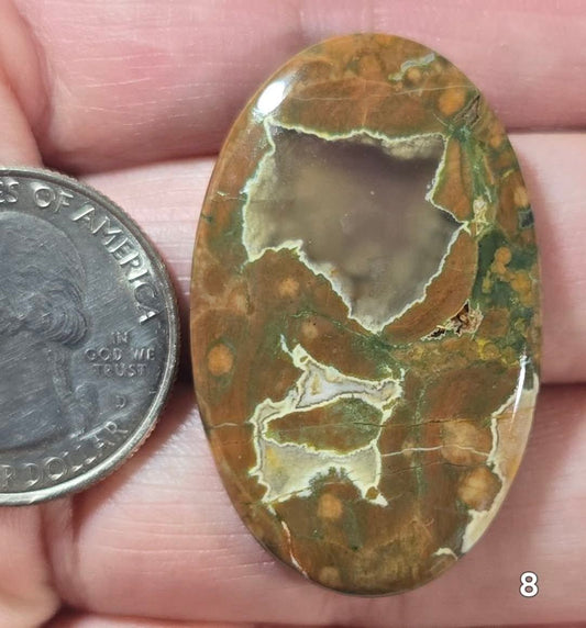 #8 Rainforest Jasper