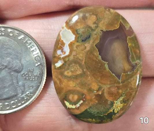 #10 Rainforest Jasper