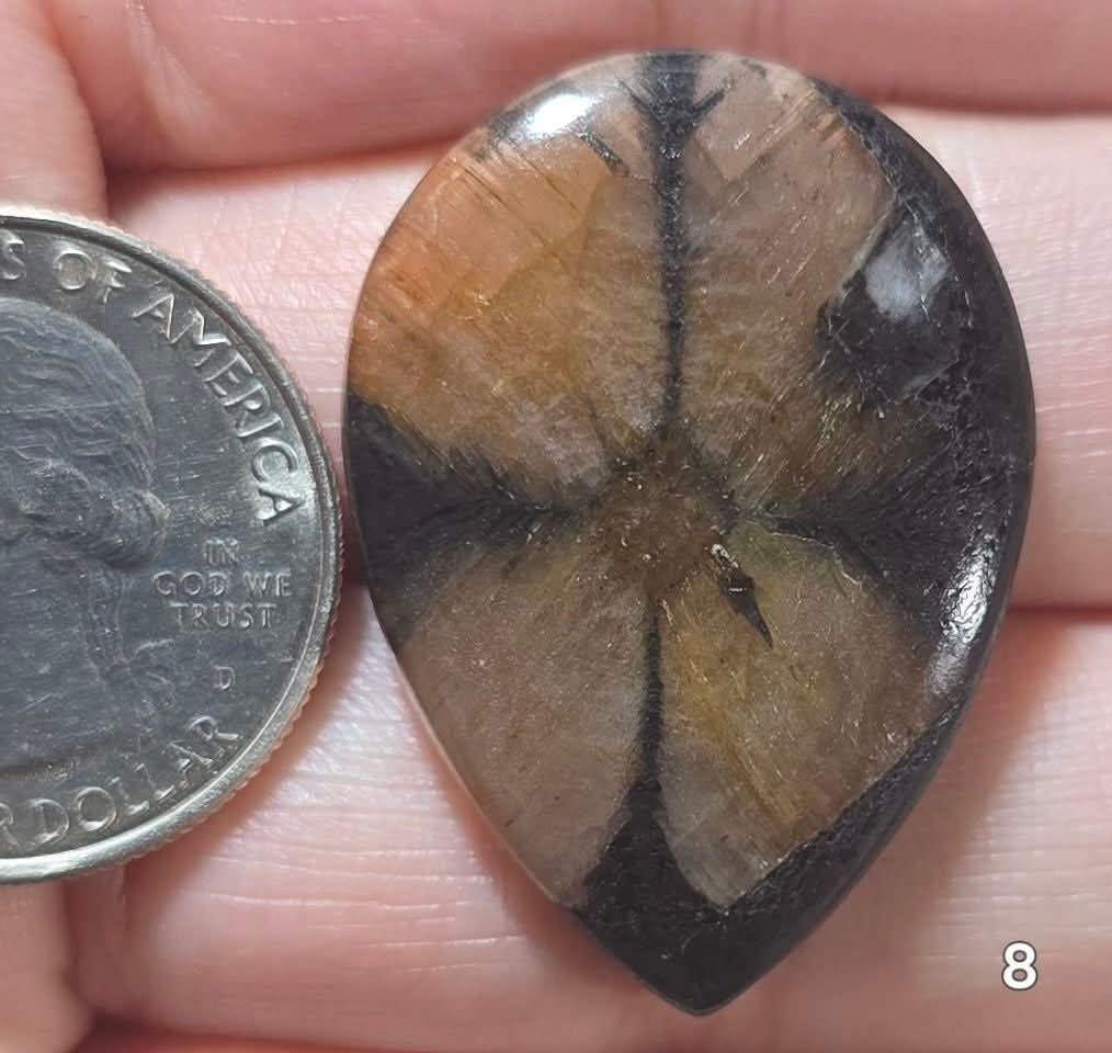 #8 Chiastolite Cross Stone