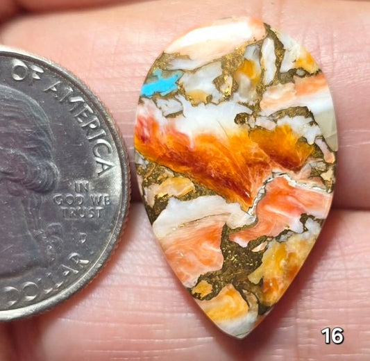 #16 Spiny Oyster Turquoise