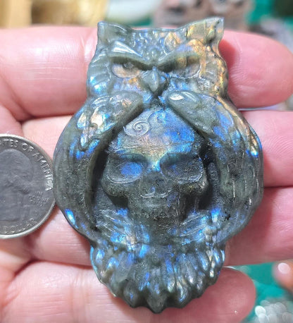 Labradorite Owl Skull