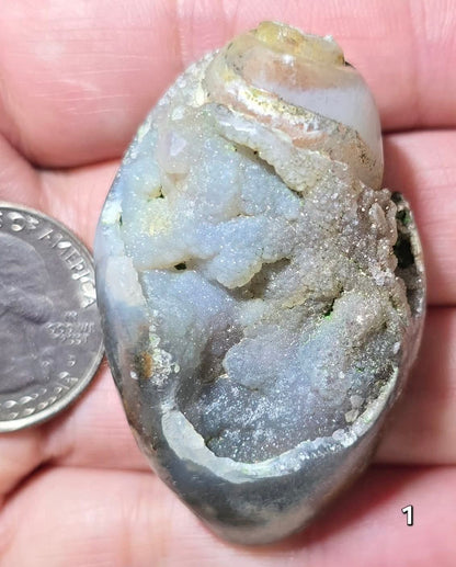 #1 Fossilized Druzy Spiralite Shell