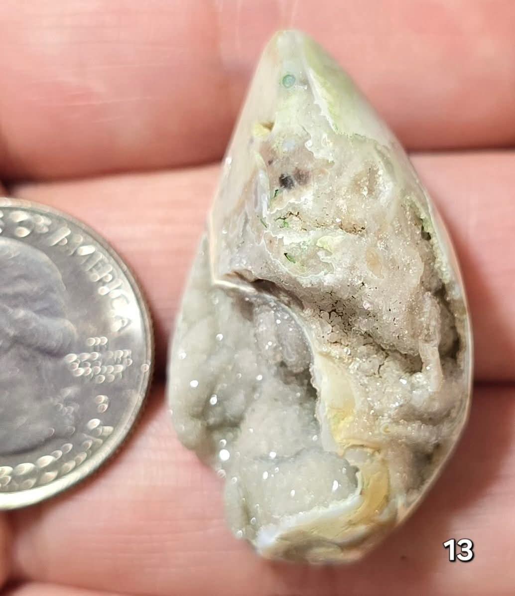 #13 Fossilized Druzy Spiralite Shell