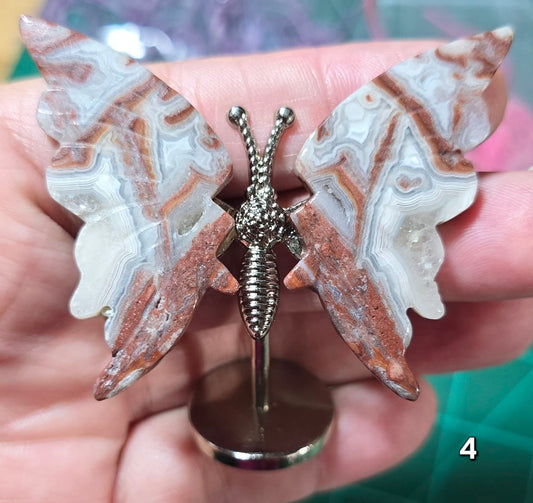 #4 Mexican Agate w/Druzy