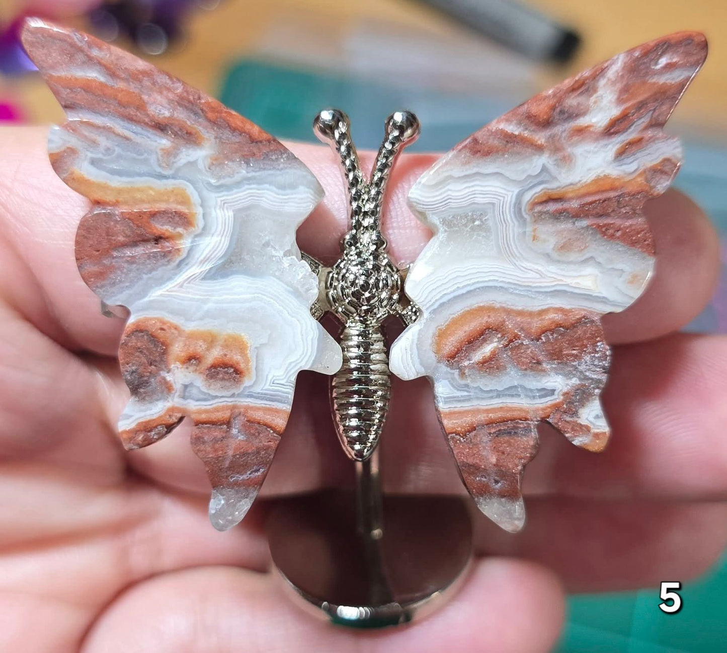 #5 Mexican Agate w/Druzy