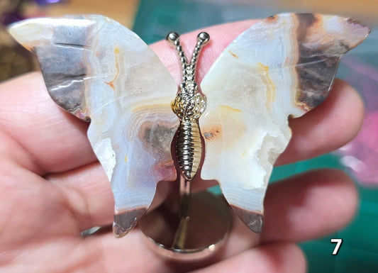 #7 Mexican Agate w/Druzy