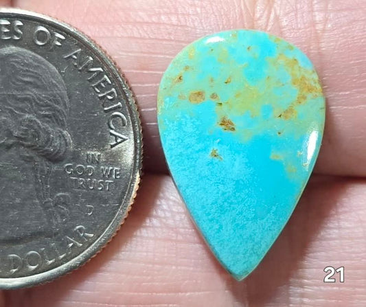 #21 Arizona Turquoise