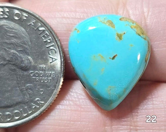 #22 Arizona Turquoise