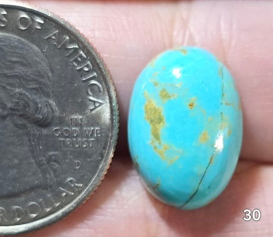 #30 Arizona Turquoise