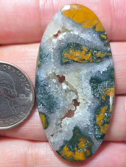 Thunder Opal - Collector Statement Cabochon