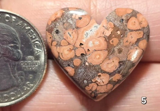#5 Poppy Jasper Heart