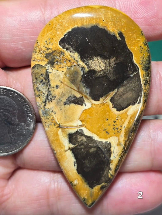 #2 Rare Design Dendritic Opal – Collector Grade Statement Cabochon