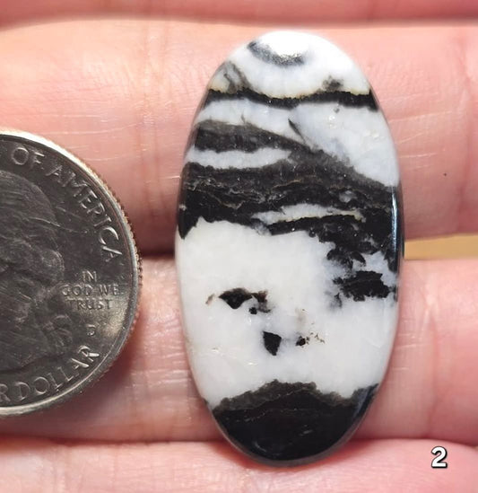 #2 White Buffalo Jasper