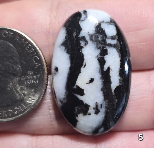 #5 White Buffalo Jasper