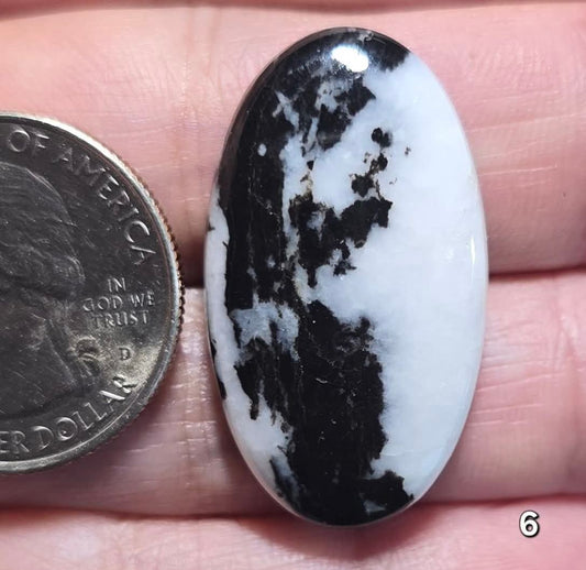 #6 White Buffalo Jasper