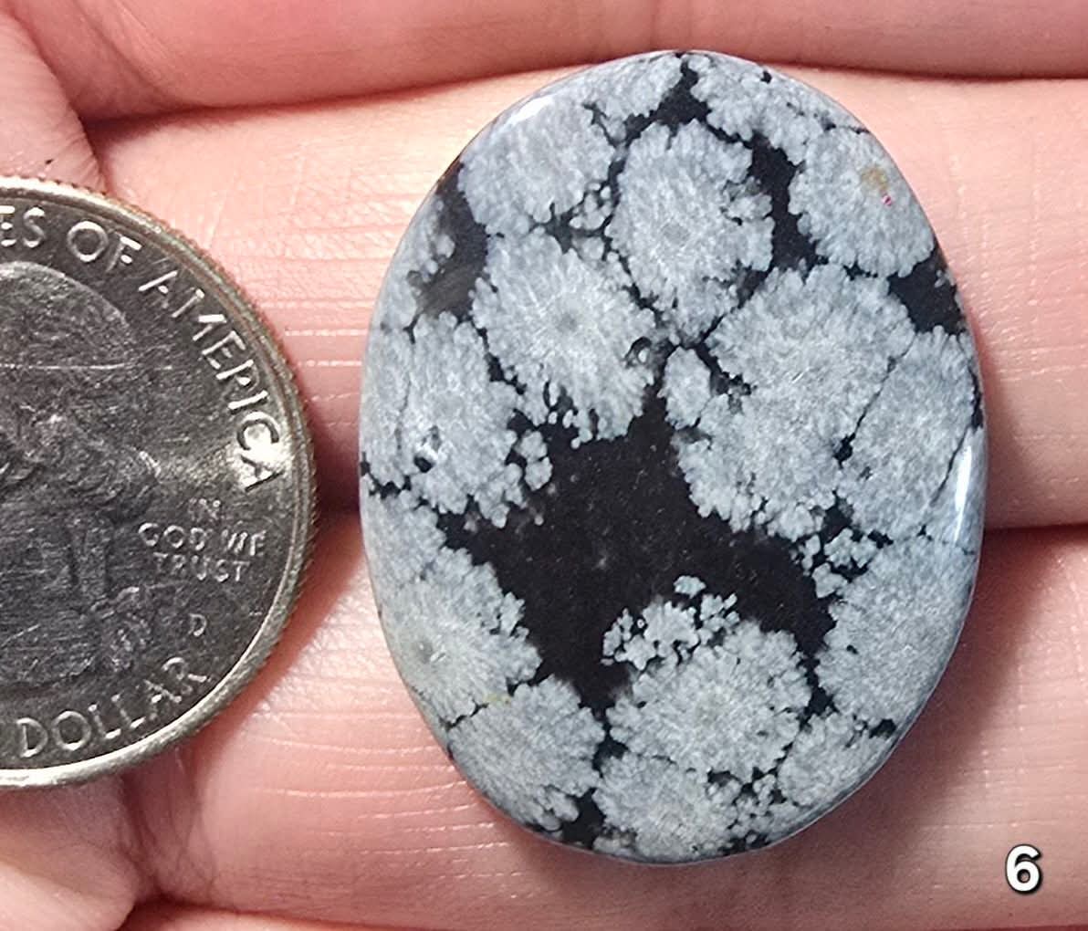 #6 Snowflake Obsidian