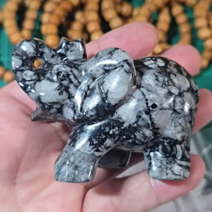 Fossil Stone Elephant