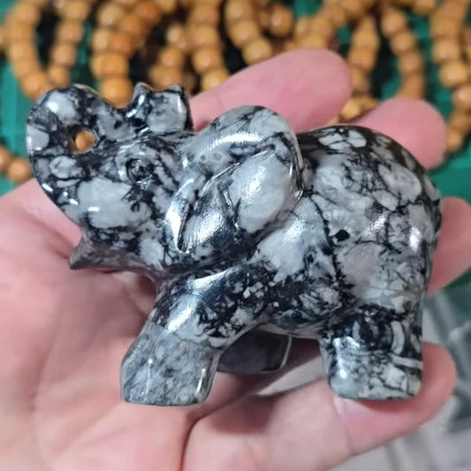Fossil Stone Elephant