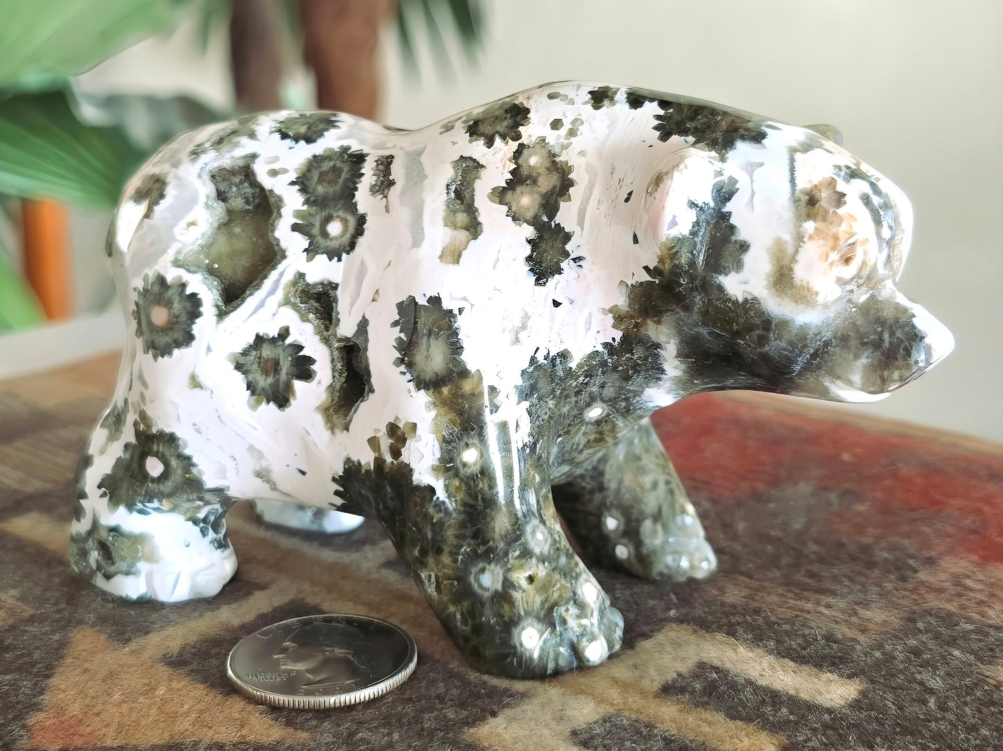 Rare Ocean Jasper Druzy Bear Carving