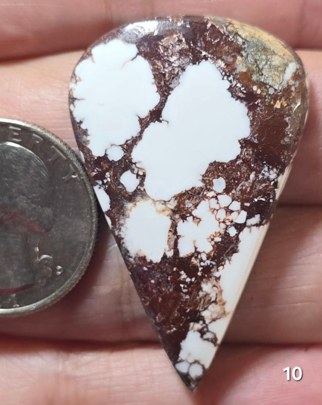 #10 Wild Horse Cabochon