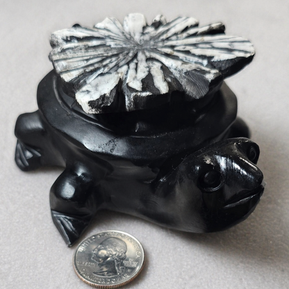 Midnight Bloom Chrysanthemum Turtle Carving