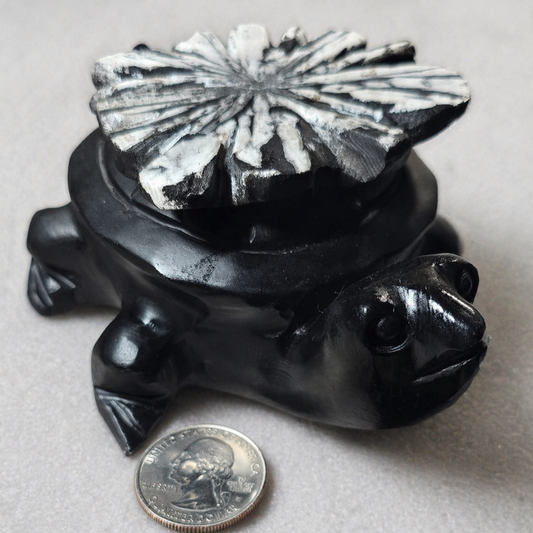 Midnight Bloom Chrysanthemum Turtle Carving
