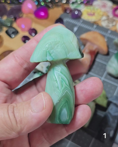 #1 Gobi Agate Mushroom