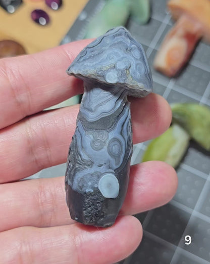 #9 Gobi Agate Mushroom