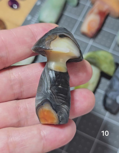 #10 Gobi Agate Mushroom