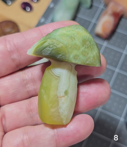 #8 Gobi Agate Mushroom