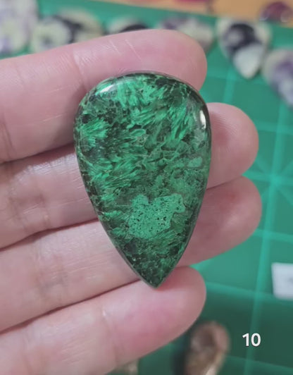 #10 Velvet Malachite