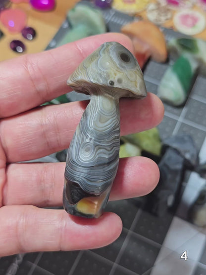 #4 Gobi Agate Mushroom