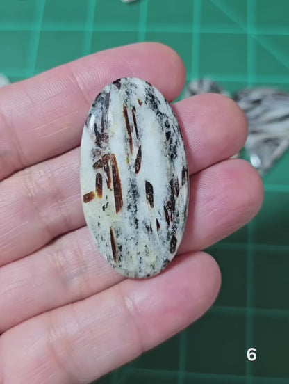 #6 Astrophyllite