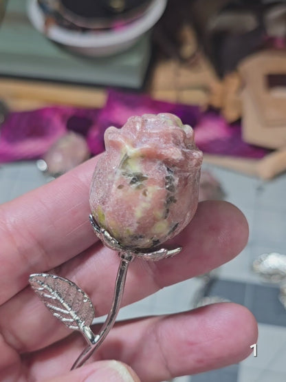 #1 Peach Blossom Jasper Rose