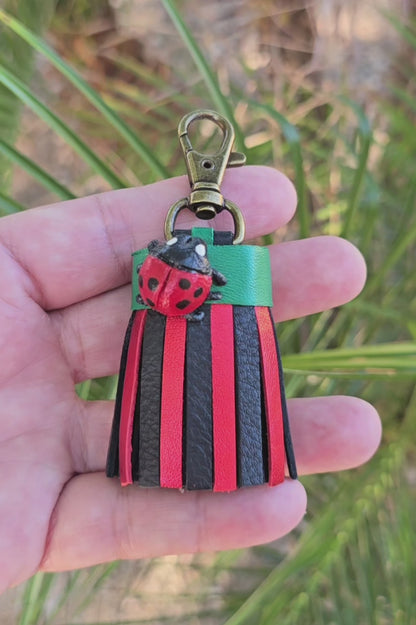 Leather LadyBug
