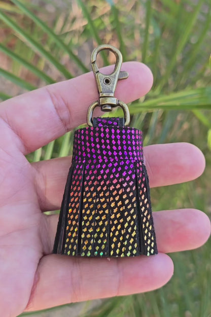 Metallic Rainbow and Black