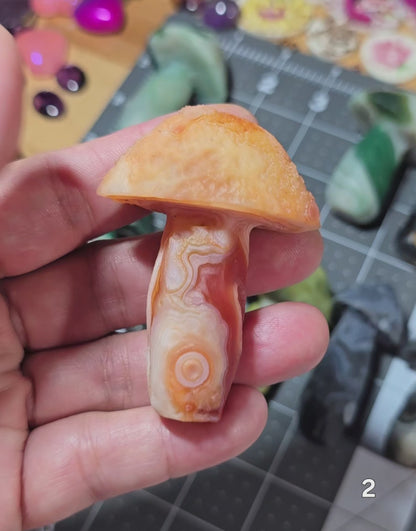 #2 Gobi Agate Mushroom