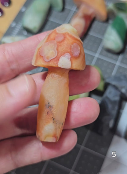 #5 Gobi Agate Mushroom