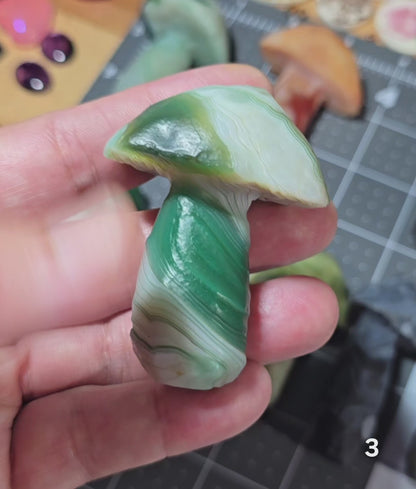 #3 Gobi Agate Mushroom