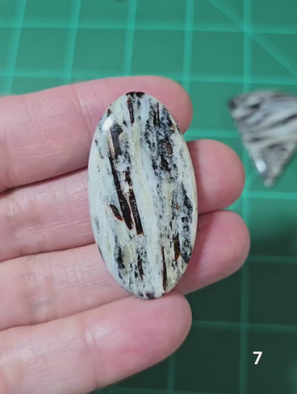 #7 Astrophyllite