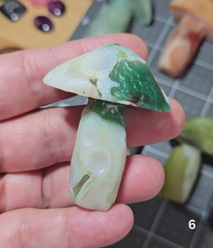 #6 Gobi Agate Mushroom