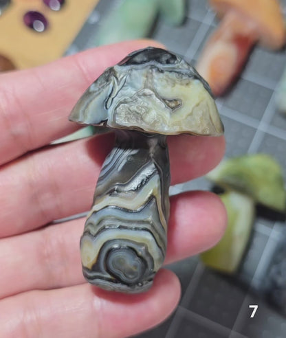 #7 Gobi Agate Mushroom
