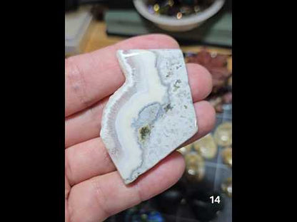 #14 Crazy Lace Agate Slice