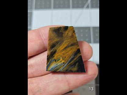 #13 Collector Statement Pietersite Slice