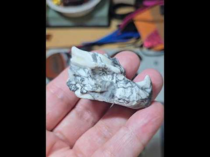 Black Fossil Dragon Head Carving