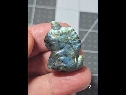 #2 Labradorite Mini Unicorn